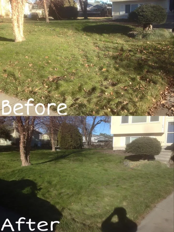 Expert yard maintenance in Pasco, WA - Quality Plus Lawn Care
