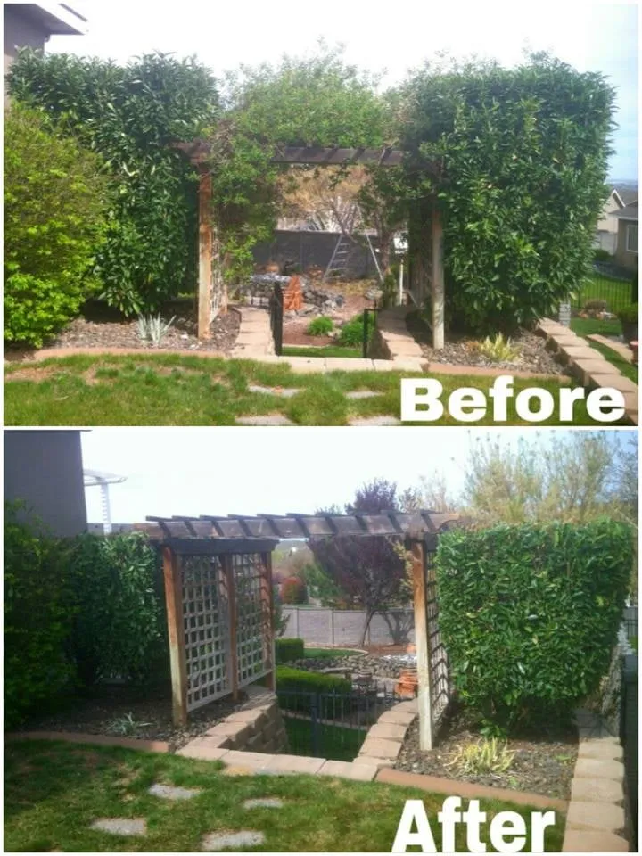 Professional lawn mowing service experts serving Pasco, WA - Quality Plus Lawn Care