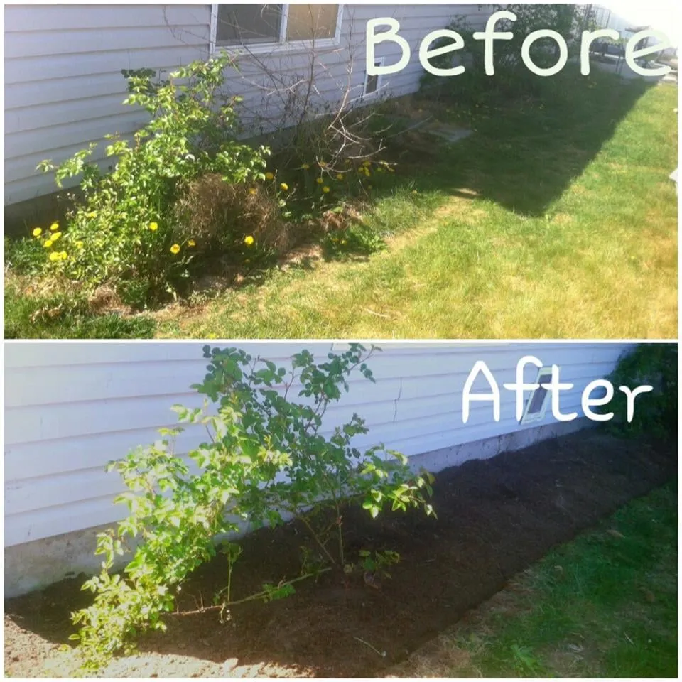 Local lawn mowing service for year-round maintenance across Pasco, WA - Quality Plus Lawn Care