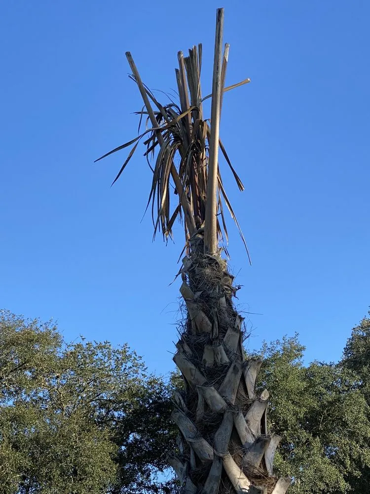 Local residential landscaping in Valdosta, GA by Quality Pools & Patios