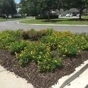 Trusted outdoor landscaping in Valdosta, GA by Quality Pools & Patios