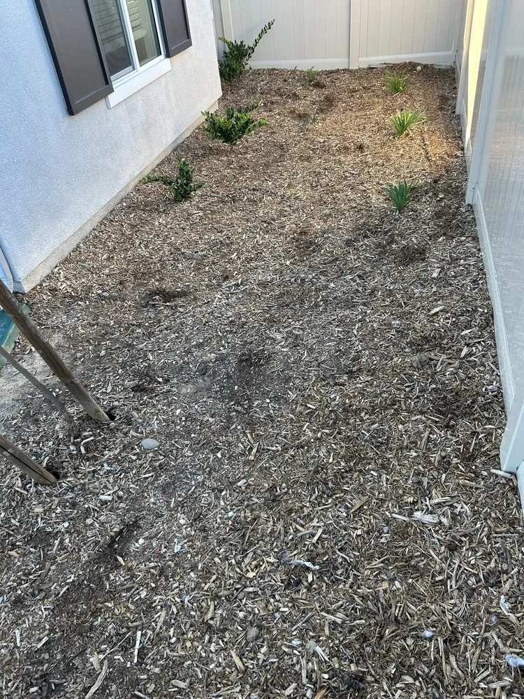 Trusted landscape installation for homes across El Cajon, CA - Quality Pools and Pavers