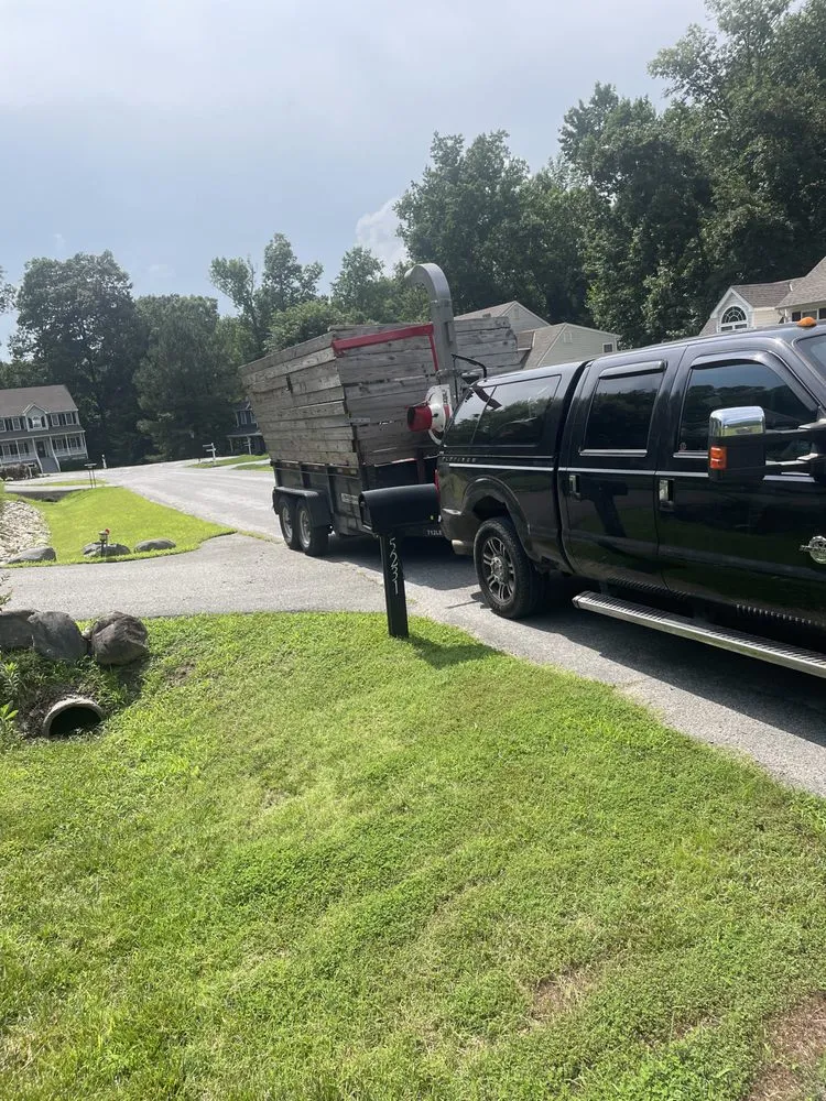 Trusted yard cleanup service experts serving Richmond, VA - Quality Preservation