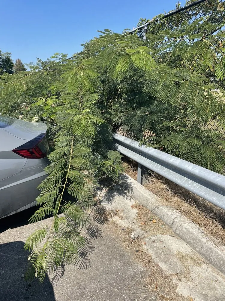 Local lawn mowing service in Richmond, VA - Quality Preservation