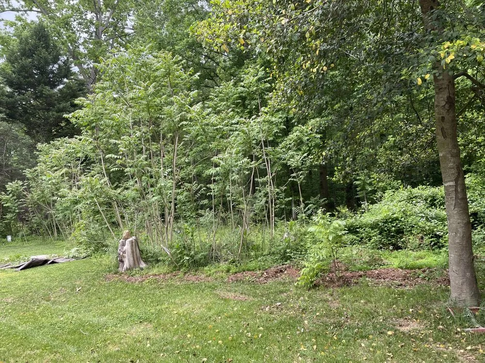 Reliable residential landscaping in Richmond, VA by Quality Preservation