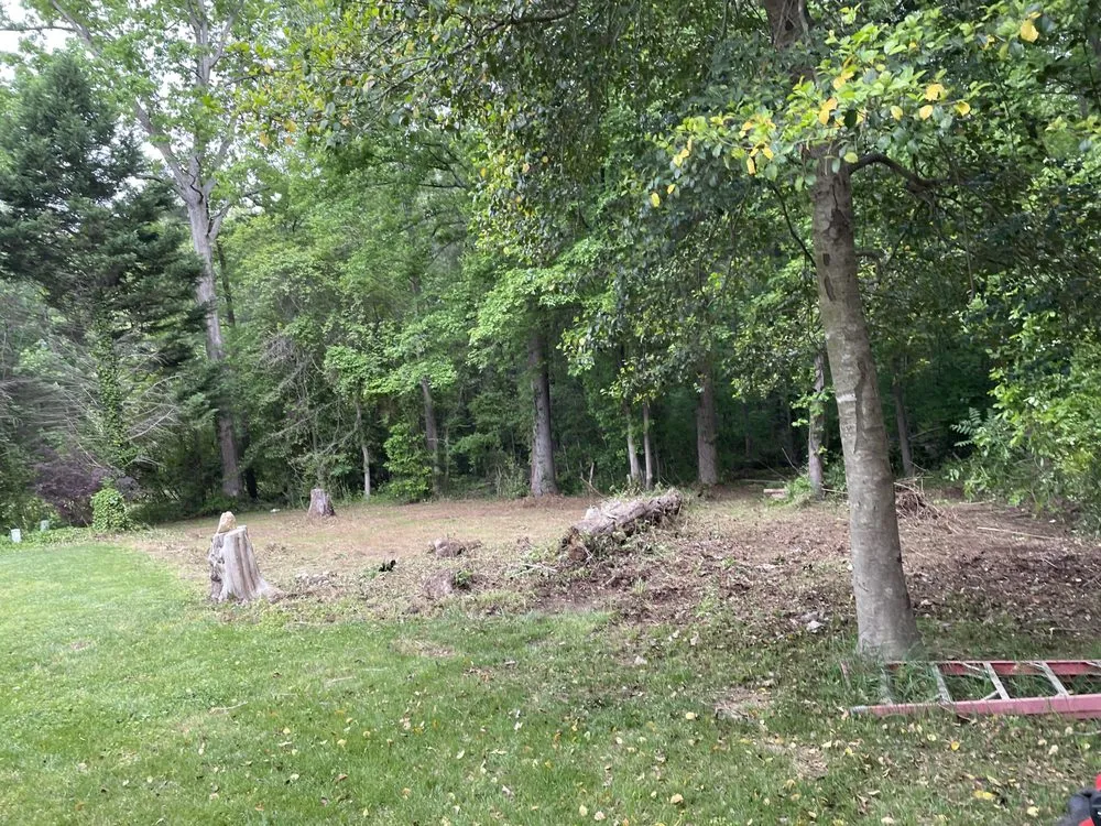 Top-rated lawn mowing service in Richmond, VA by Quality Preservation