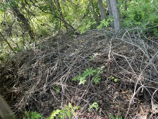 Quality Preservation Logo