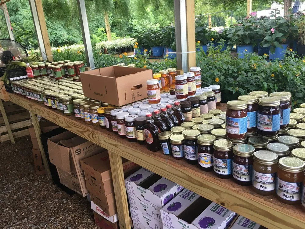 Expert outdoor landscaping for beautiful yards across Shelbyville, TN - Quality Produce, Plants and Landscaping