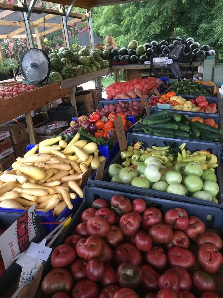 Top-rated landscape design for residential properties across Shelbyville, TN - Quality Produce, Plants and Landscaping