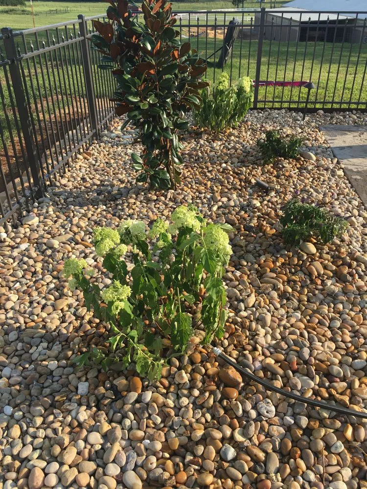 Expert lawn care service in Shelbyville, TN - Quality Produce, Plants and Landscaping