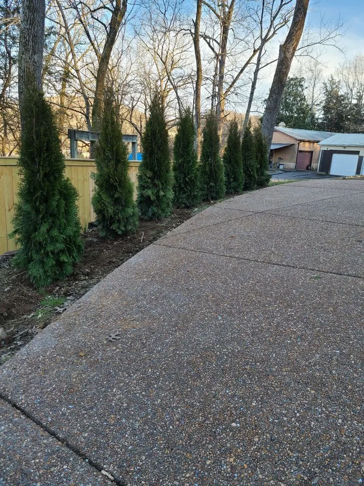 Reliable residential landscaping experts serving Shelbyville, TN - Quality Produce, Plants and Landscaping