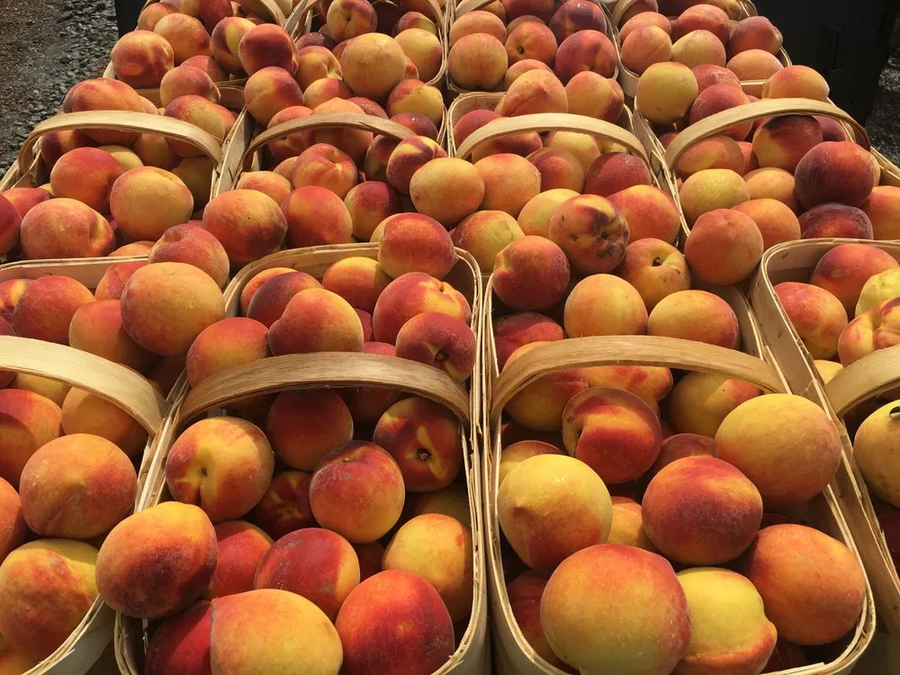 Local landscape installation for year-round maintenance across Shelbyville, TN - Quality Produce, Plants and Landscaping