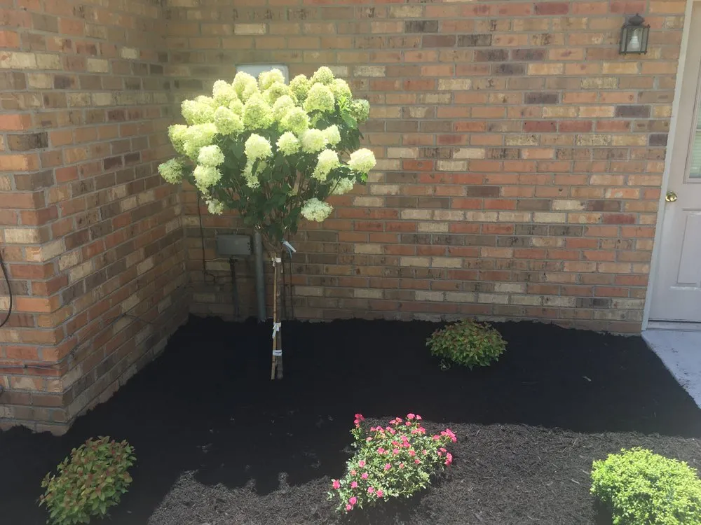 Reliable landscaping services in Shelbyville, TN by Quality Produce, Plants and Landscaping