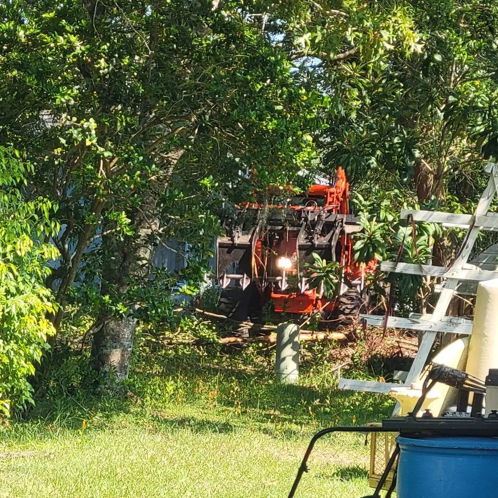 Affordable residential landscaping for outdoor upgrades across Brooksville, FL - Quality Property Restoration, Tree and Dumpster Services