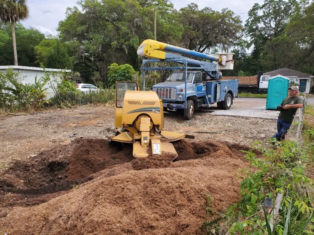 Reliable outdoor landscaping experts serving Brooksville, FL - Quality Property Restoration, Tree and Dumpster Services