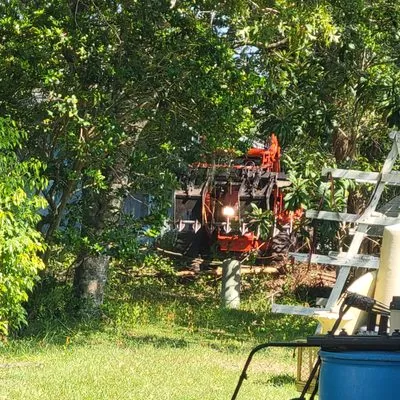 Quality Property Restoration, Tree and Dumpster Services Logo