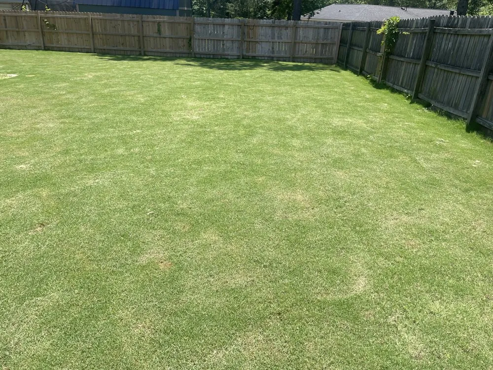 Affordable residential landscaping for residential properties in Martinez, GA by Quality Property Services