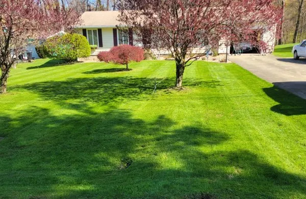 Quality Roots Landscaping & Maintenance