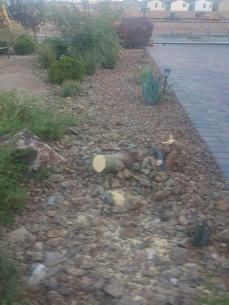 Custom landscape installation experts serving Las Vegas, NV - Quality Roots