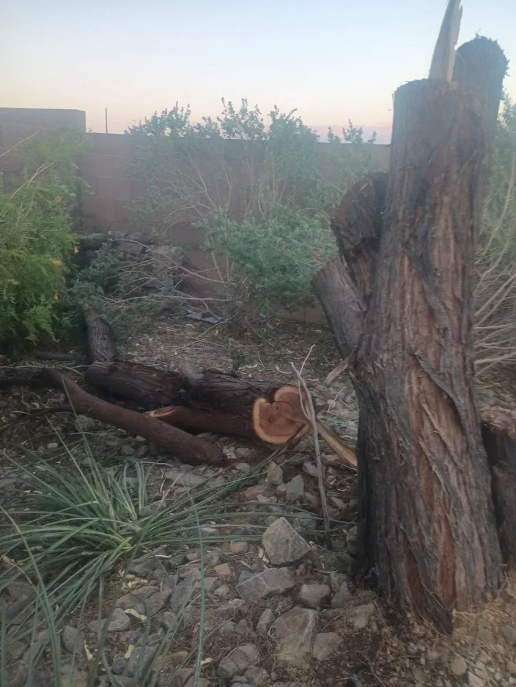 Reliable yard maintenance for residential properties across Las Vegas, NV - Quality Roots