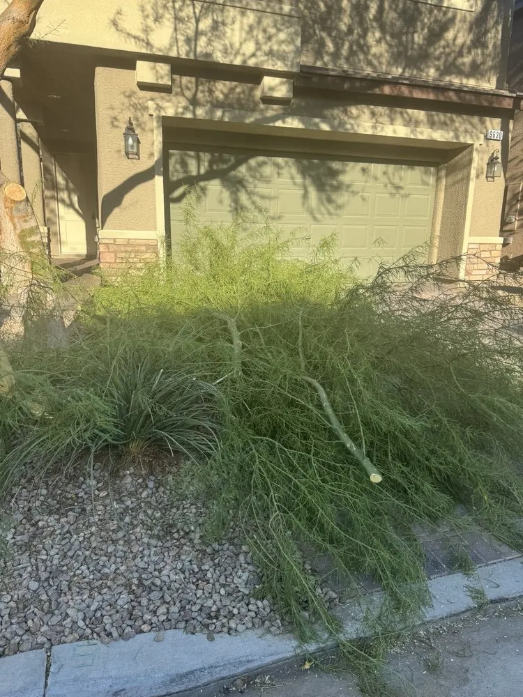 Professional landscaping services in Las Vegas, NV by Quality Roots