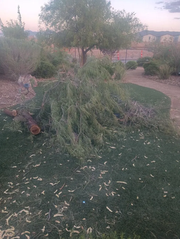 Trusted garden landscaping for beautiful yards in Las Vegas, NV by Quality Roots