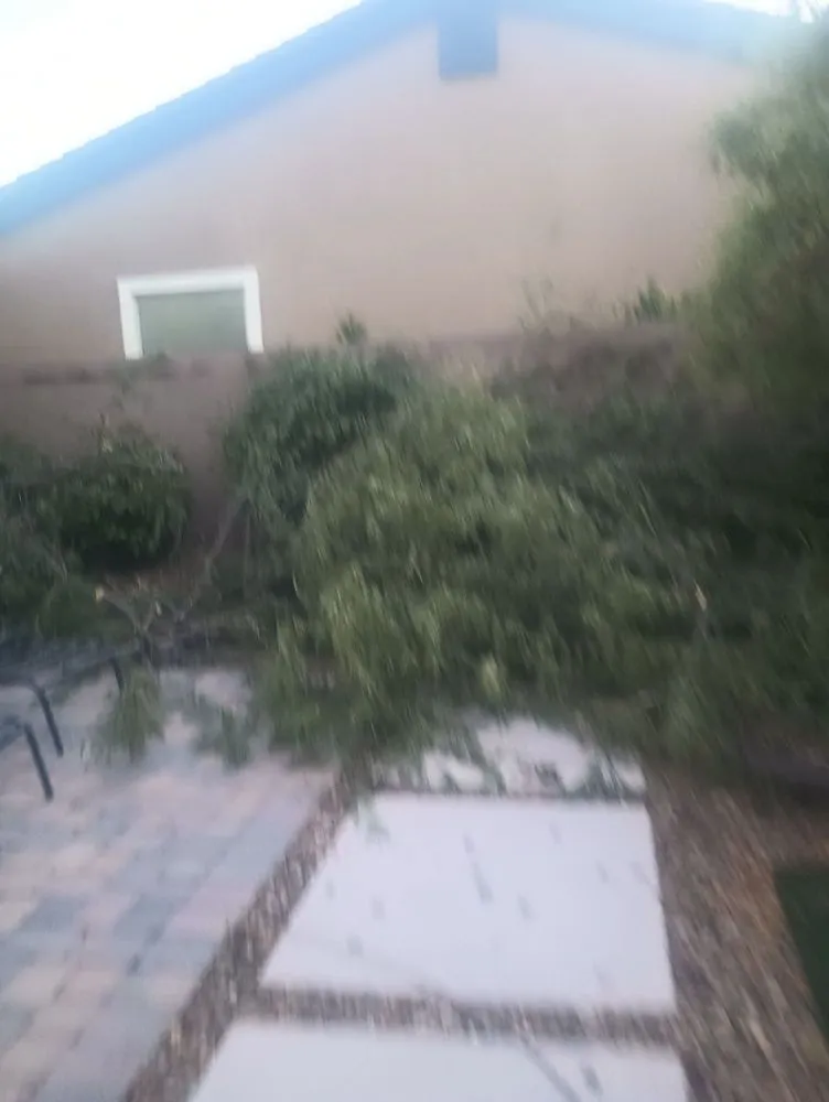 Trusted landscape design for outdoor upgrades in Las Vegas, NV by Quality Roots