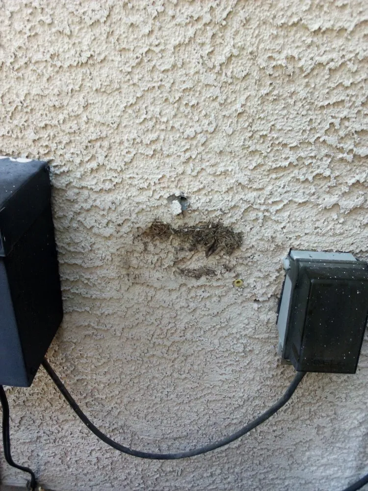 Local residential landscaping for beautiful yards across Las Vegas, NV - Quality Roots