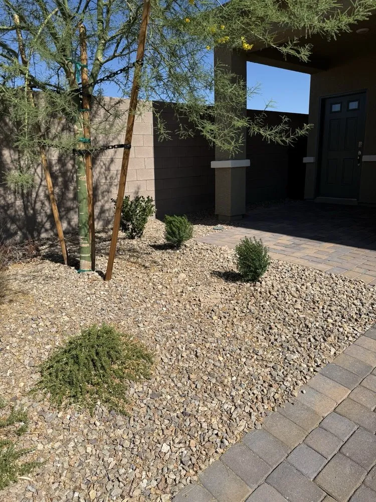 Reliable landscape installation experts serving Las Vegas, NV - Quality Roots