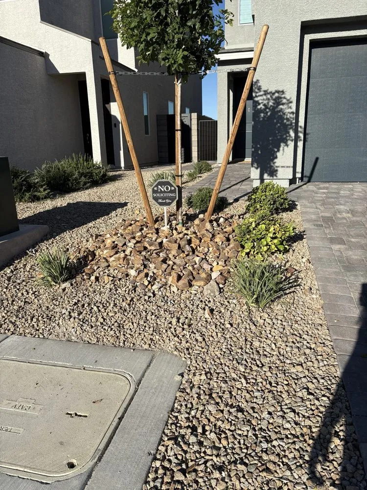 Custom yard cleanup service in Las Vegas, NV by Quality Roots