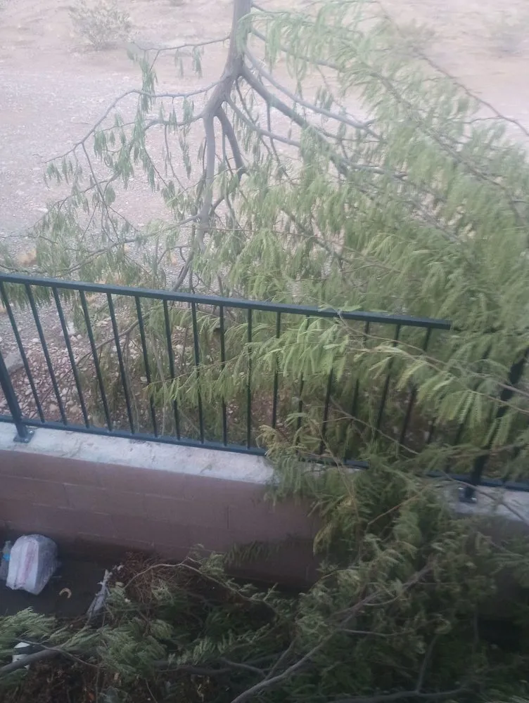 Professional lawn mowing service for homes in Las Vegas, NV by Quality Roots