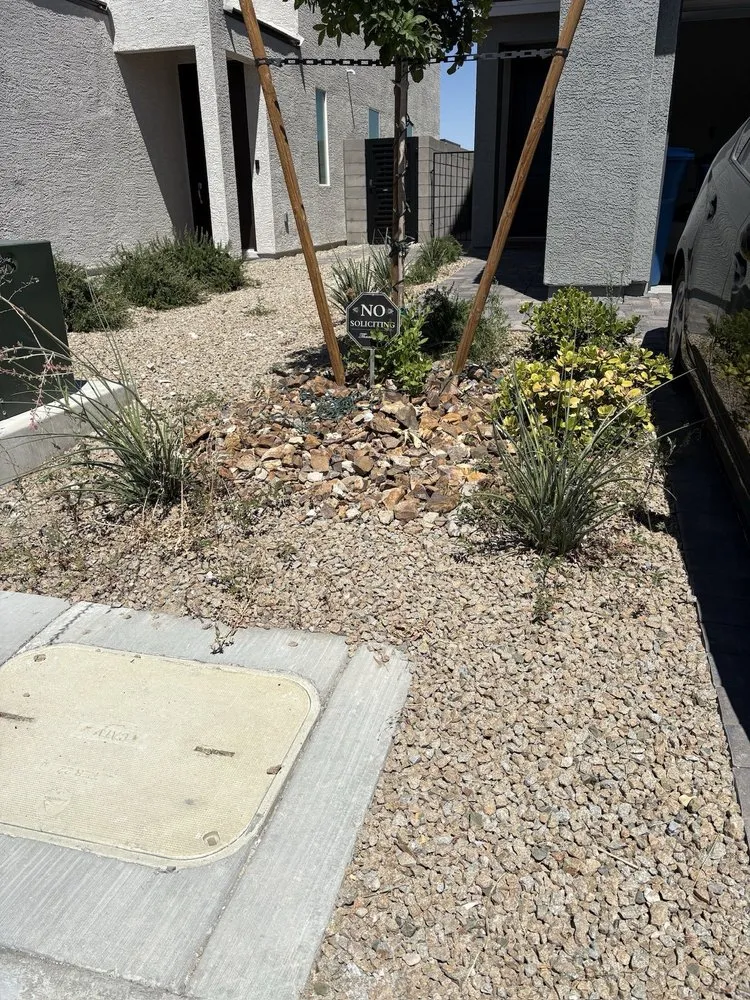 Top-rated landscaping services for outdoor upgrades in Las Vegas, NV by Quality Roots