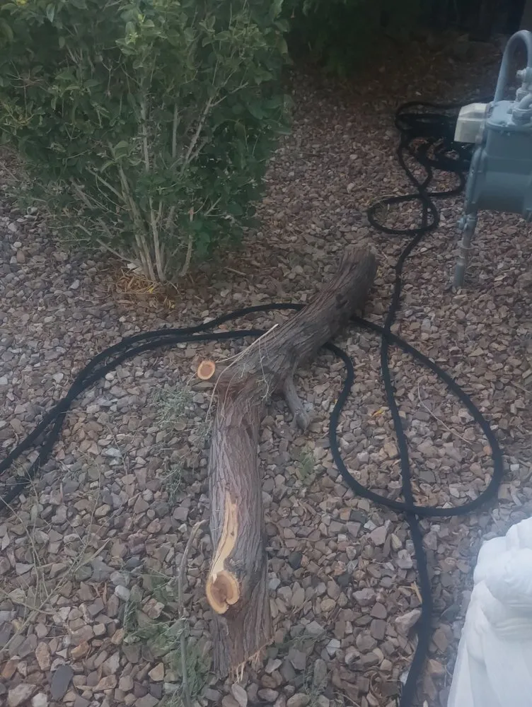 Custom landscape installation with custom design across Las Vegas, NV - Quality Roots