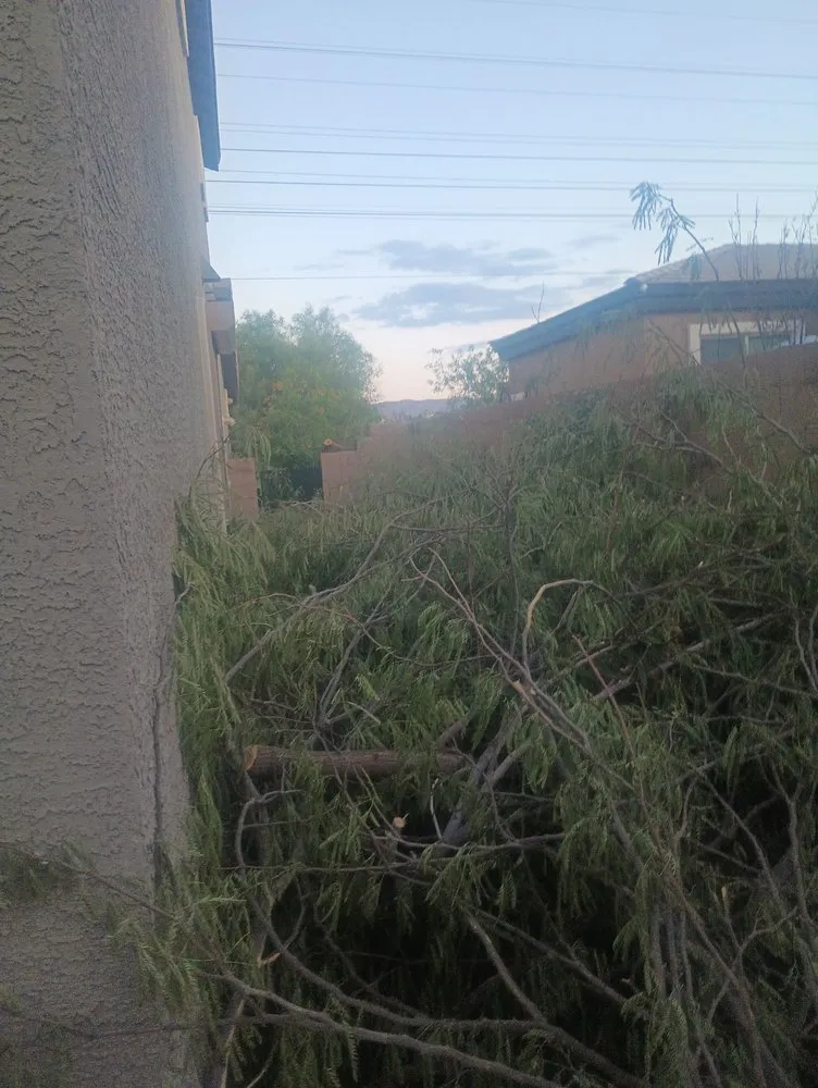 Affordable landscape design in Las Vegas, NV - Quality Roots