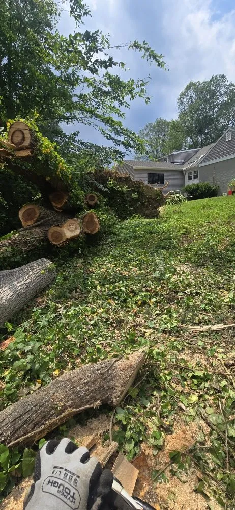 Affordable residential landscaping experts serving UPPR CHICHSTR, PA - Quality R&S Tree Service and landscape