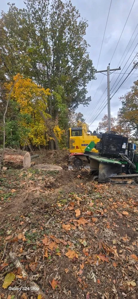 Expert yard maintenance in UPPR CHICHSTR, PA by Quality R&S Tree Service and landscape