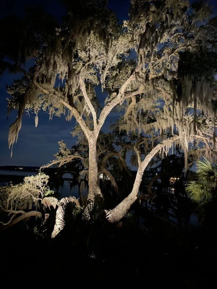 Reliable landscaping services for year-round maintenance across Beaufort, SC - Quality Scapes