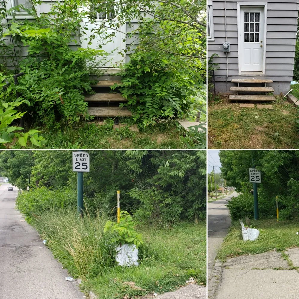 Trusted landscaping services for year-round maintenance across Dayton, OH - Quality Seasons