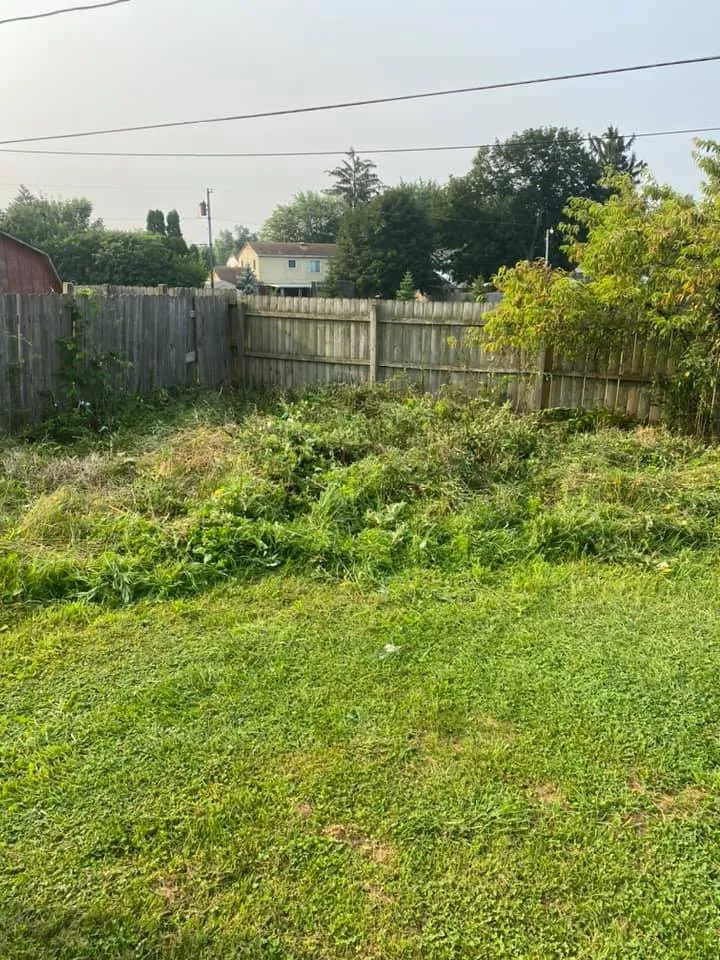 Affordable landscape design experts serving Dayton, OH - Quality Seasons