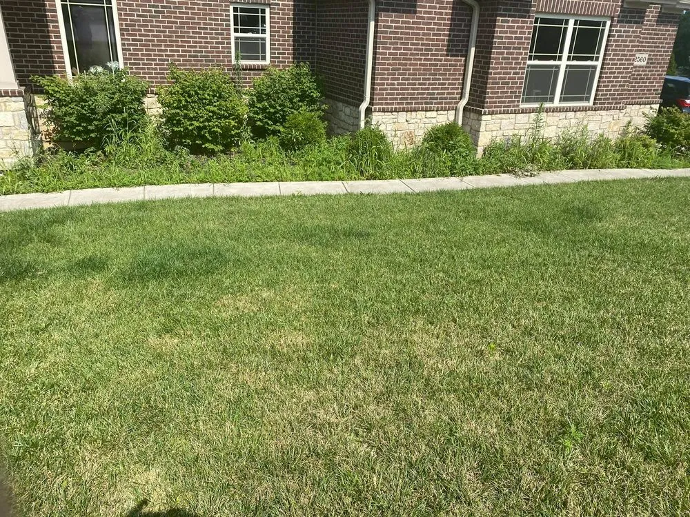 Top-rated landscape design in Dayton, OH by Quality Seasons