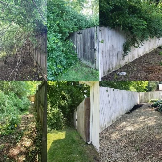 Affordable landscaping services for beautiful yards across Dayton, OH - Quality Seasons