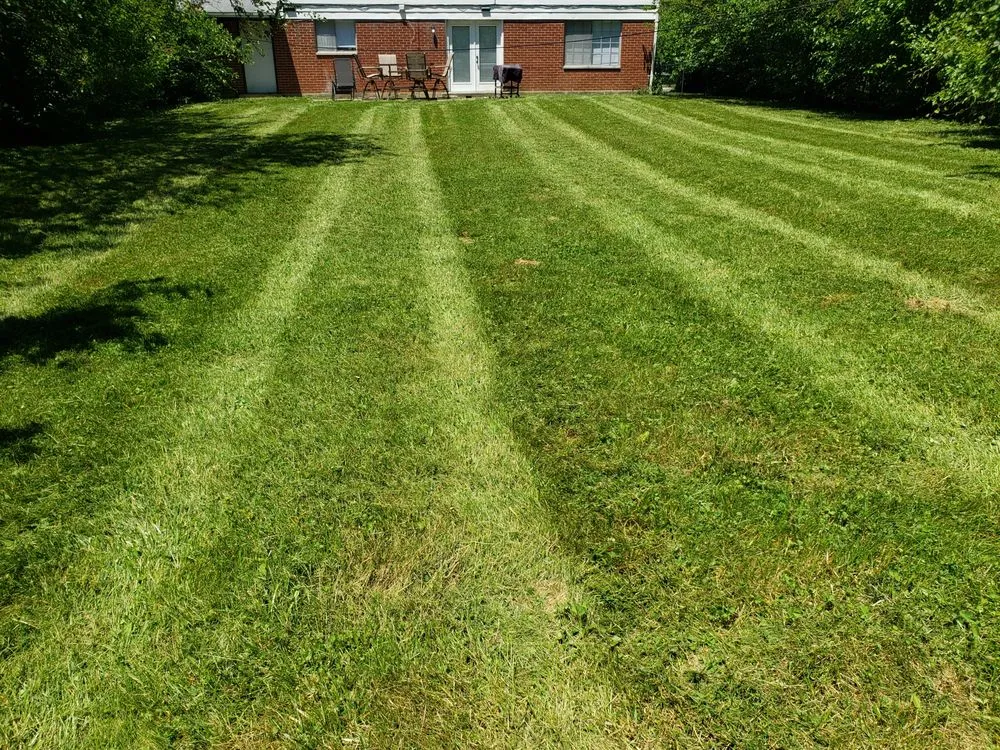 Top-rated landscaping services in Dayton, OH - Quality Seasons