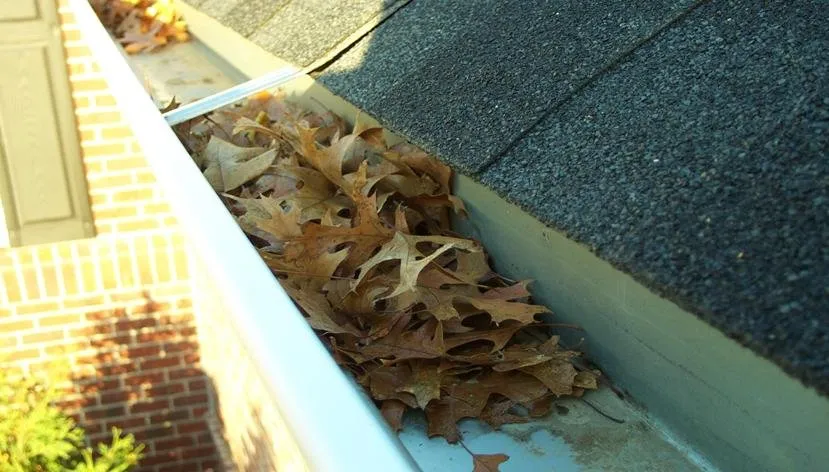 Professional landscaping services in Lakeville, MN - Quality Seasons