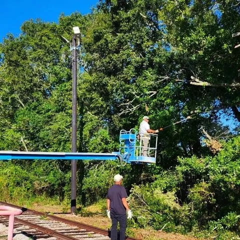 Affordable residential landscaping for residential properties across Orange, TX - Quality Services