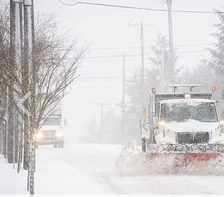 Expert yard maintenance with custom design across Roseville, MN - Quality Snowplowing & Lawn Service