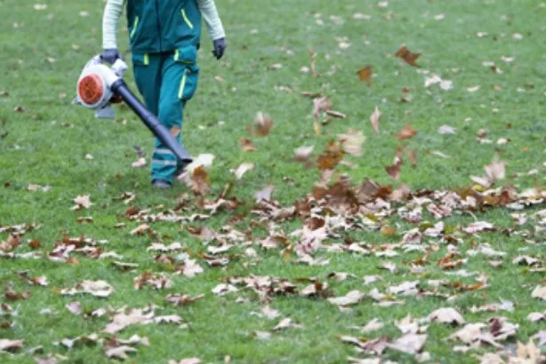 Top-rated residential landscaping for homes across Roseville, MN - Quality Snowplowing & Lawn Service