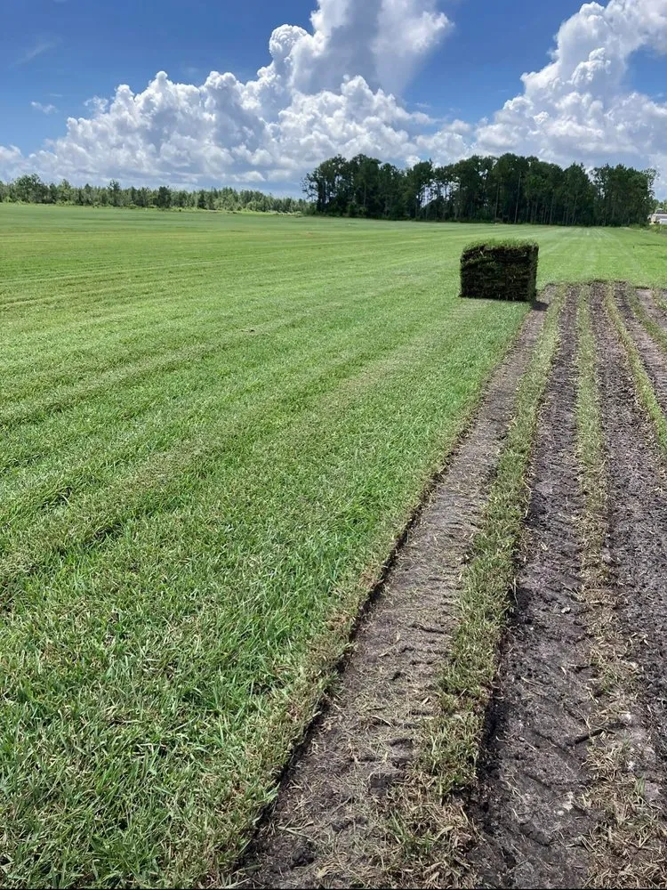 Top-rated landscape installation in Deltona, FL - Quality Sod & Excavation