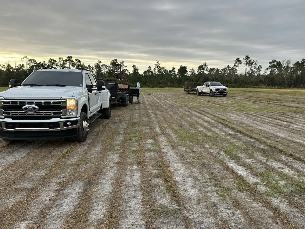 Professional yard cleanup service for beautiful yards across Deltona, FL - Quality Sod & Excavation