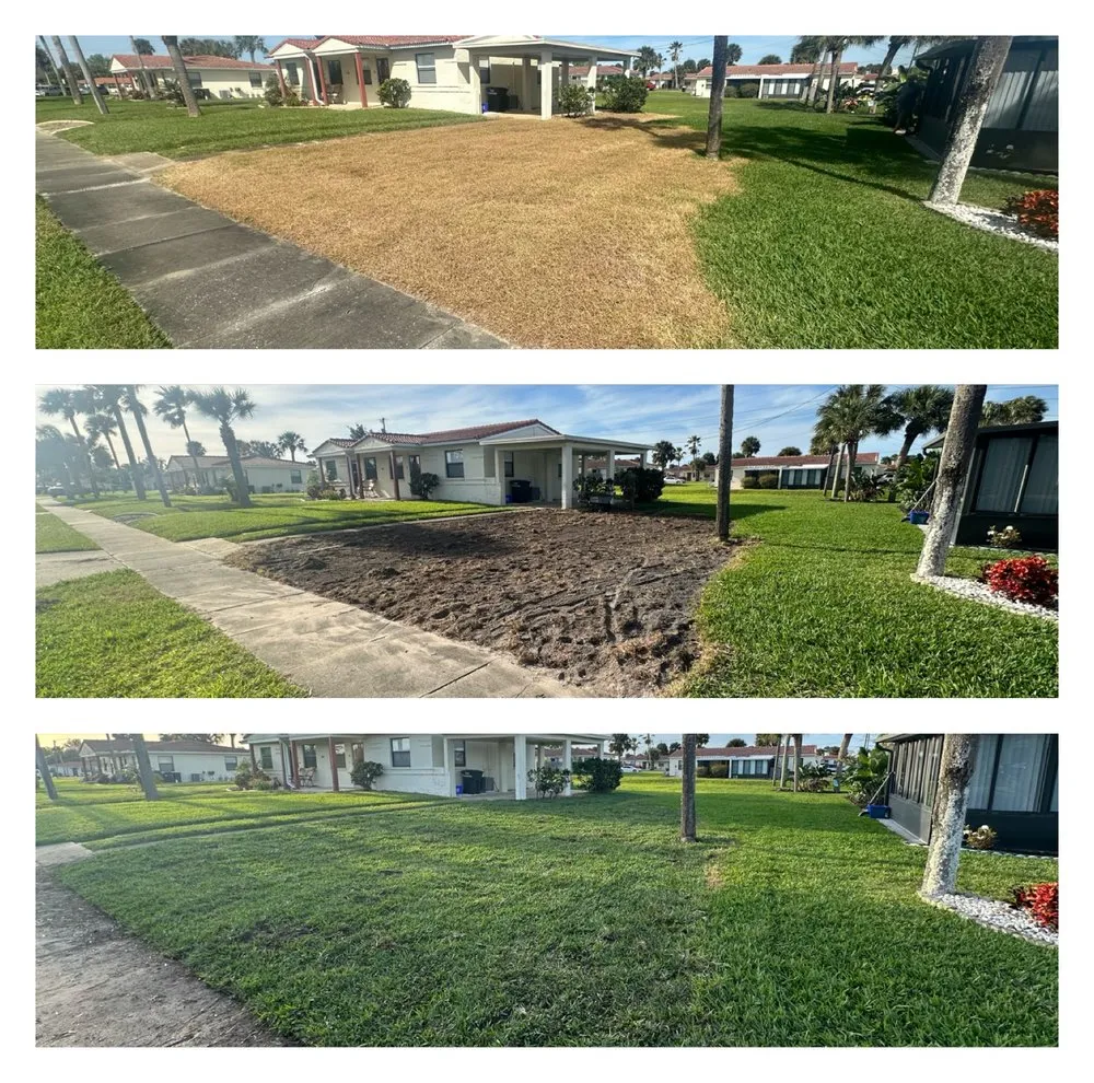 Top-rated outdoor landscaping in Deltona, FL - Quality Sod & Excavation