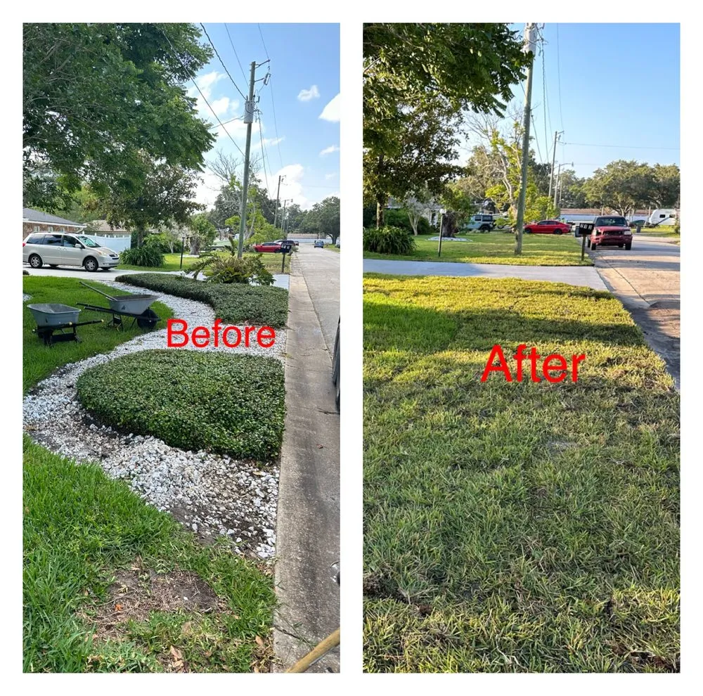 Reliable lawn mowing service for homes across Deltona, FL - Quality Sod & Excavation